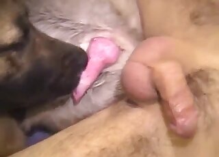 Hot porn movie showing a a guy that wants red dog cock in his ass