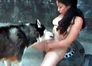 Husky is licking wet pussy hole of a slender brunette