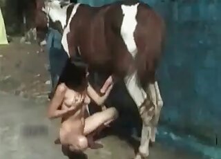 Naked brunette passionately sucks horse's pecker outdoors