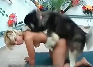 Husky gladly fucks one horny bitch after another in doggy-style pose