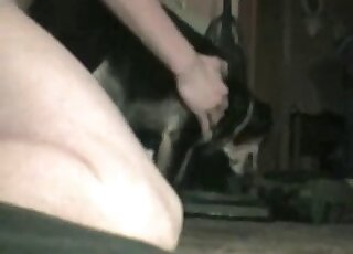 Awesome guy with a hard member is fucking this dog in missionary