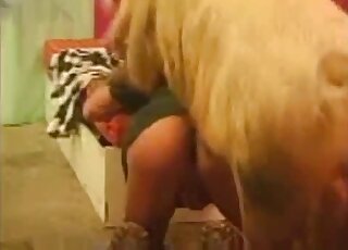 Hot animal getting freaky with a twisted zoophile on all fours