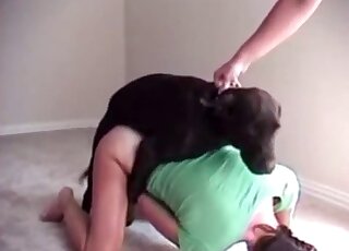 Amazing cuckolding scene with a leggy housewife fucking her dog