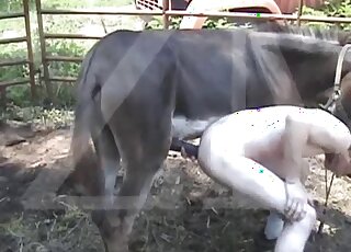 Pale dude bends over to take this pony's cock out in the open