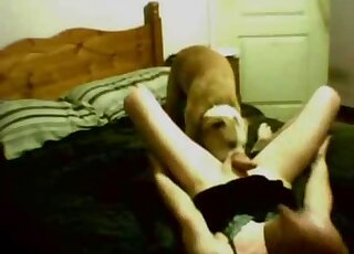 Passionate doggystyle love featuring a hot dog that fucks tight asses