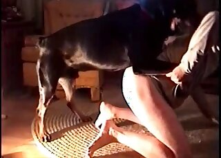 Dog dick inserted into a zoophile's asshole in a kinky porn video