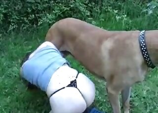 Zoophile in a sexy black thong prepares to fuck a dog outdoors