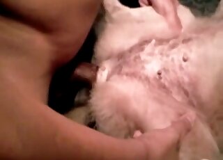 Hot and pink animal pussy getting ripped apart in missionary here