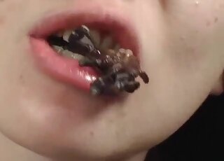 Crunchy cockroaches being happily devoured by a perverse Asian lady