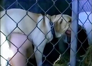 Caged white dog ends up fucking a zoophile's eager MILF pussy here