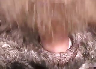 Impressive sex scene showing a guy that slides into a very furry cunt