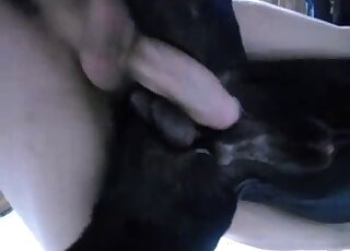 View from below - Endowed guy rubs his giant erection against dog dick