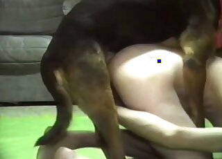 Skinny guy lets the dog eat his butt after anal banging