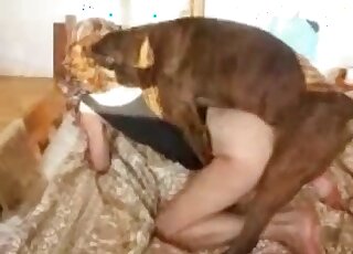 Young lady exchanges oral pleasures with dog after getting fucked
