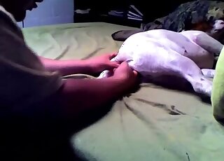 Aroused guy treats his dog with anal toying and pussy fingering