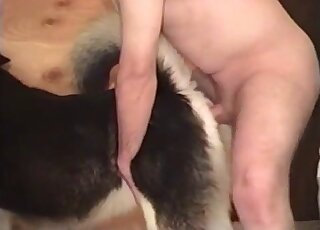 Big dick guy dominates his pet dog amateur bestiality video