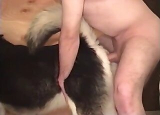 Man met grote lul domineert zijn hond in een amateurvideo over bestialiteit