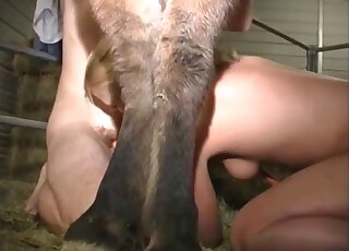 Long-haired guy is licking horse pussy while getting BJ from blonde