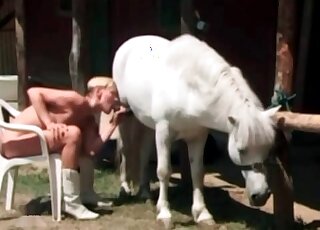 Short-haired bitch enjoys sucking white horses's large shaft