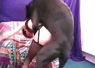 Huge black dog gladly bangs short-haired slut from behind