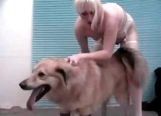 Big fluffy dog gets seduced by a blonde that craves for zoo porn