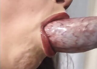 Thick brunette vixen adores stuffing her mouth with giant dog dick