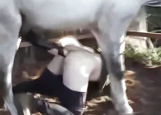 Horny guy got anal creampie from white horse and his giant shaft