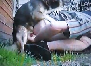 Dog provides horny master with quick outdoor fucking