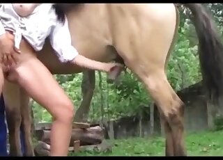 Hot brunette & sassy blonde are sucking off massive horse cock