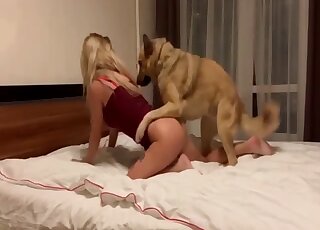 German Shepherd can't wait to pound blonde babe's pussy