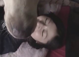 Japanese schoolgirl gets banged and creampied by dog first time
