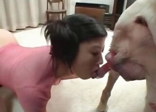 Japanese babe is about to get fucked by her dogs in zoo porn video