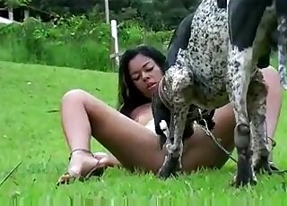 Outdoors XXX zoo porn with a dog that licks wet pussy of a bitch