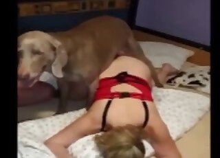 Randy hound has his cock stuck in the MILF babe's pussy