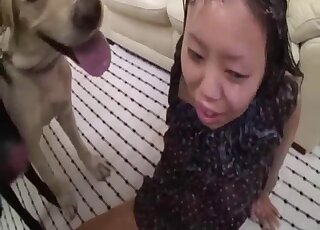 Stunning Asian brunette enjoys bestiality 3some with aroused Labs