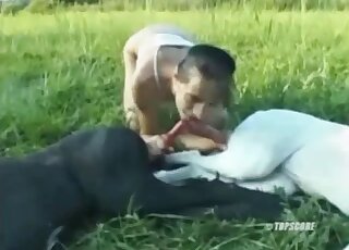 Hairy bitch enjoys outdoor zoo threesome with endowed dogs