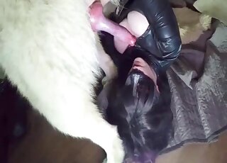 Husky is comforted by MILF while having his cock sucked by masked gal