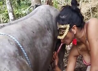 Amateur bestiality - Masked Latina on a long pig cock