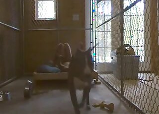 Brunette makes amateur zoo sex video with Pit Bull in a cage