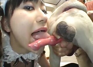 Japanese maid adores stuffing her mouth with super stiff dog peckers
