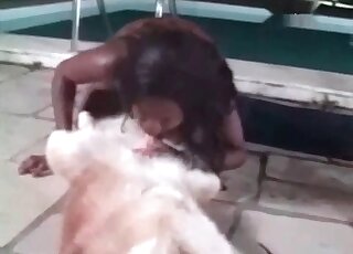 Ebony performs cock-sucking to a dog during zoo porn session