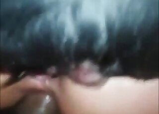 Double penetration movie with a tiny dog cock fucking her ass
