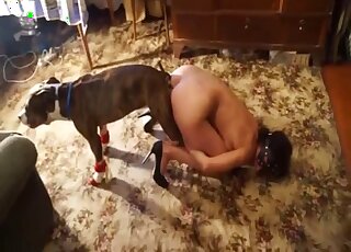 Zoophile hottie from Russia is enjoying the taste of dog's cock
