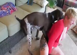 Hot animal with a stiff penis fucks a lady in a black skirt that cums