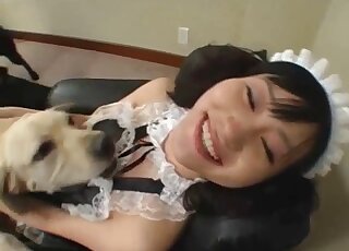 Japanese in maid uniform spreads legs for dogs to lick her cunt and ass