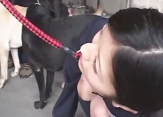 Nude Japanese plays obedient for ruthless dog perversions