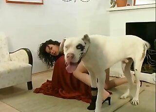Dog humps brunette woman really hard and causes her an orgasm