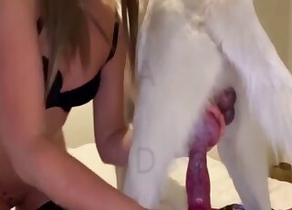 Blonde cam girl plays with the dog's tasty dick in  amateur scenes