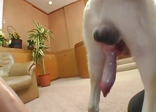 Big ass Japanese craves anal after such a sloppy oral with the dogs
