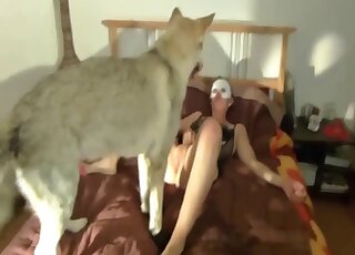 Zoo cam sex with the dog leads the fine amateur bitch to superb orgasm